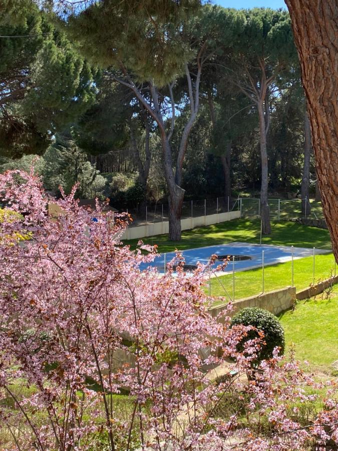 Apt Romantico Con Chimenea Con Fibra Optica Y Terraza San Martin de Valdeiglesias Luaran gambar