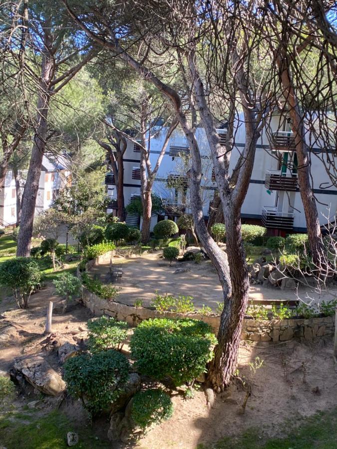 Apt Romantico Con Chimenea Con Fibra Optica Y Terraza San Martin de Valdeiglesias Luaran gambar